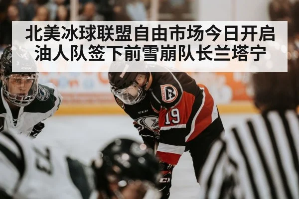 北美冰球联盟自由市场今日开启油人队签下前雪崩队长兰塔宁